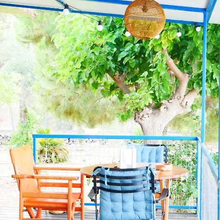 Seaside Garden *
