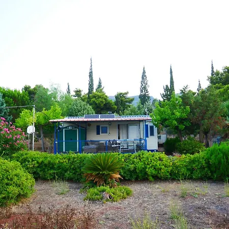 Seaside Garden