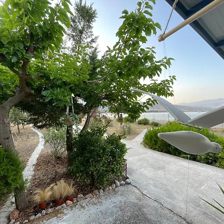 Seaside Garden