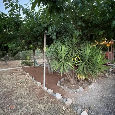 Seaside Garden *