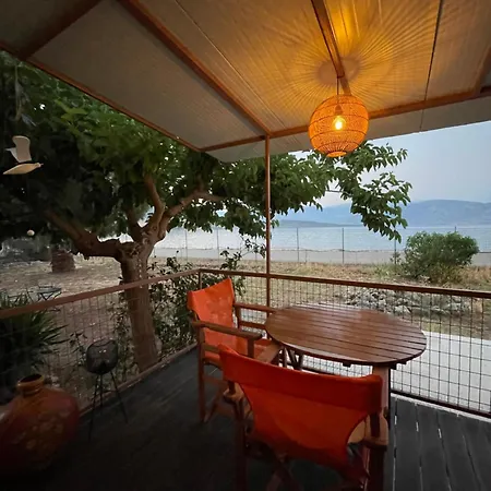 Seaside Garden
