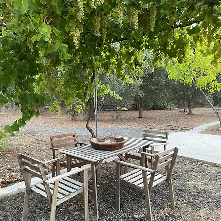 Seaside Garden