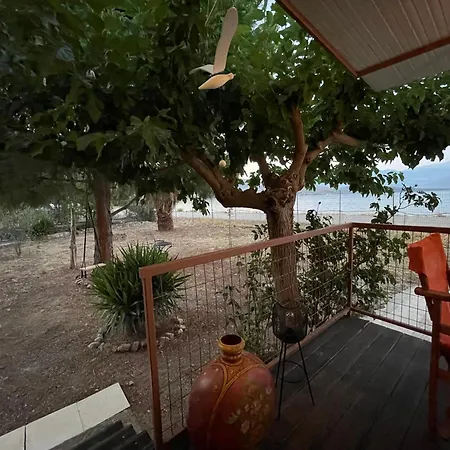 Seaside Garden بيت للعطل
